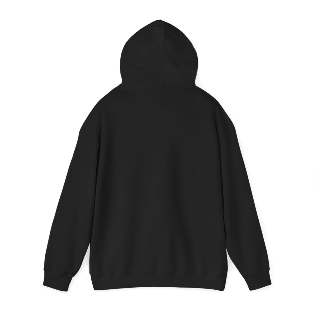 brokelife hoodie | Cost of Living humor, inflation memes sweatshirt