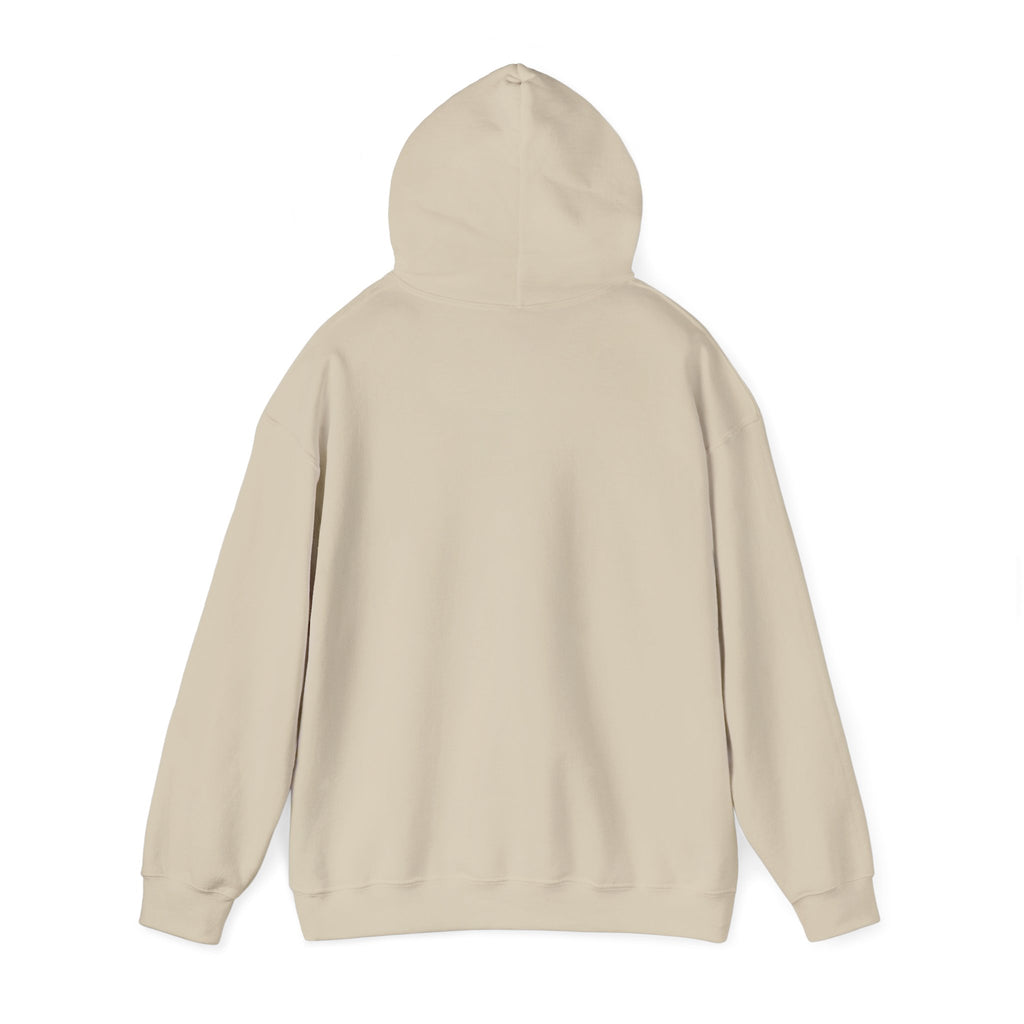brokelife hoodie | Cost of Living humor, inflation memes sweatshirt